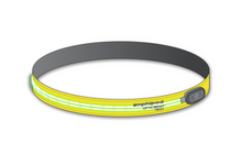 Amphipod Optic Beam 360 Belt- (Neon Hi-Viz)